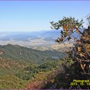 곡성-060 Daum카페