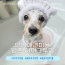 그루밍존 | 안양애견미용 평촌 아이그루밍 말티푸미용 후기!