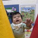 영아신체 ＜플로팅볼 놀이＞ 🎈 이미지