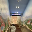 명동빌딩 | 명동 고양이카페 루프캣미 고양이카페 명동점 이용 솔직 후기!