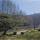 초이지아 이미지