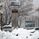 태백시청