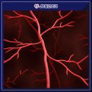 JB외과의원 이미지