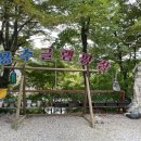 용수그린랜드 이미지