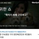 케어 박소연 영장기각에 애견인들과 국민들이 분노 하는 이유 이미지