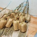 춘수농장 이미지