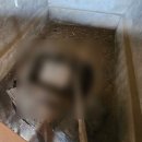 시골집 구옥매매를 위한 정보꿀팁-재래식(푸세식)화장실 매립방법 [대전세종청주엠에스플랜인테리어]