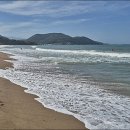 칠포해수욕장 Daum카페