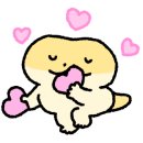 파충류샵 스마일게코 이미지