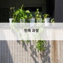 달콤한 베이킹 | 내가 만든 달콤한 유혹 베이킹 메뉴 후기