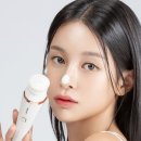 포인코