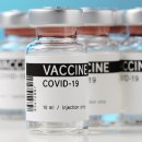 코로나 백신과 독감 백신 비교 분석 이미지