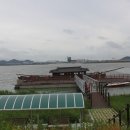 태림주유소 Daum카페
