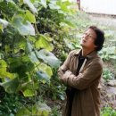 동산여인숙 Daum카페