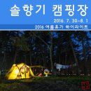 송림점 페리카나 | [오토캠핑] 연곡 해변 솔향기 캠핑장 (2016. 7. 30~8. 1)