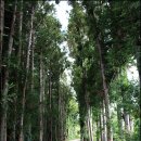 도순농장 이미지