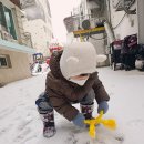 펑펑 눈이 왔어요~~ ☃️☃️ 이미지