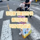 멀티뽑기방 7호점 | 장안동 가볼만한 곳 뽑기방 5곳 직접 방문 비교