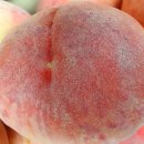 청석농장 이미지