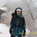 나샘 이미지