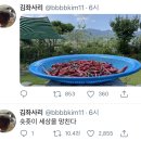 샐러디79 네이버블로그