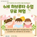 주니어솔로몬
