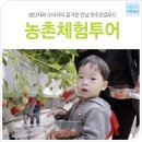 전북일상-완주로컬푸드 농촌체험ㅣ로컬푸드 농산물 수확과정을 직접 체험하다! 이미지