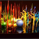 시애틀공원 이미지