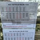 부산진구-13 이미지