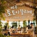 토토PC | [제주 토토아틀리에] 애월 쿠킹클래스 토토아틀리에 가격, 예약 꿀팁 총정리