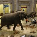 한국자연사박물관 이미지