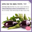 가지가지 티스토리