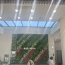 카페일월 | [맛집정보] 수원 일월수목원 카페 솔직후기 : 데이지원카페 분위기는 좋은데 재방문은 글쎄