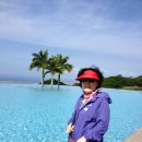 이미자농장 이미지