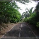 지은민박 이미지