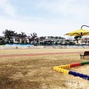 팔금초등학교 이미지