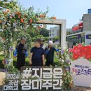 조선대(장미원) 이미지