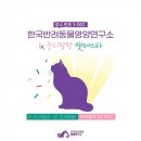 한국반려동물생활연구소