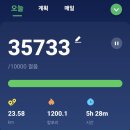 제주 올레길 20코스 Daum카페