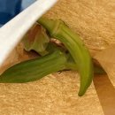 디자인미트 | 로컬 푸드 가득! 마르쉐 농부 시장 DDP 동대문디자인플라자 후기(미트로칼, 홀썸)와 향후 일정, 장소