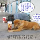 부부 유머시리즈 이미지