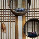 정가는맛집 이미지