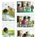 솔빛어린이집 이미지