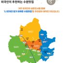 외국인이 인정한‘수원 맛집’소개···수원시, 외국인 설문조사(서울경제) 이미지