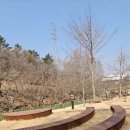 대흥동 유아숲체험원 이미지