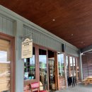 so tree farm | 🇳🇿뉴질랜드 워홀+347~353) 별안간 새벽에 납치되어 치치&lt;-&gt;퀸타 당일치기⁉️/ 크라이스트처치 🚋트램...