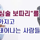 심술보따리 Daum카페