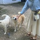 호화농장 이미지