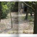 명지농원 이미지