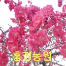 홍정시스템 이미지